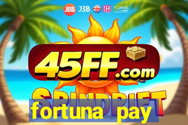 fortuna pay consultoria financeira ltda